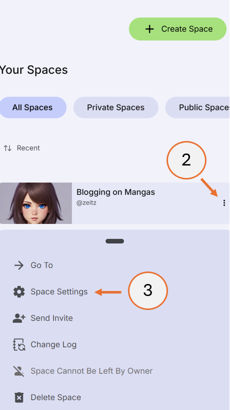 screenshot showing how to open the space settings