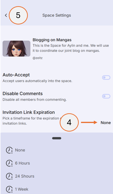 screenshot showing how to set the invite expiration