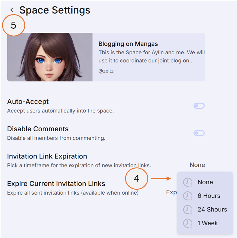 screenshot showing how to set the invite expiration