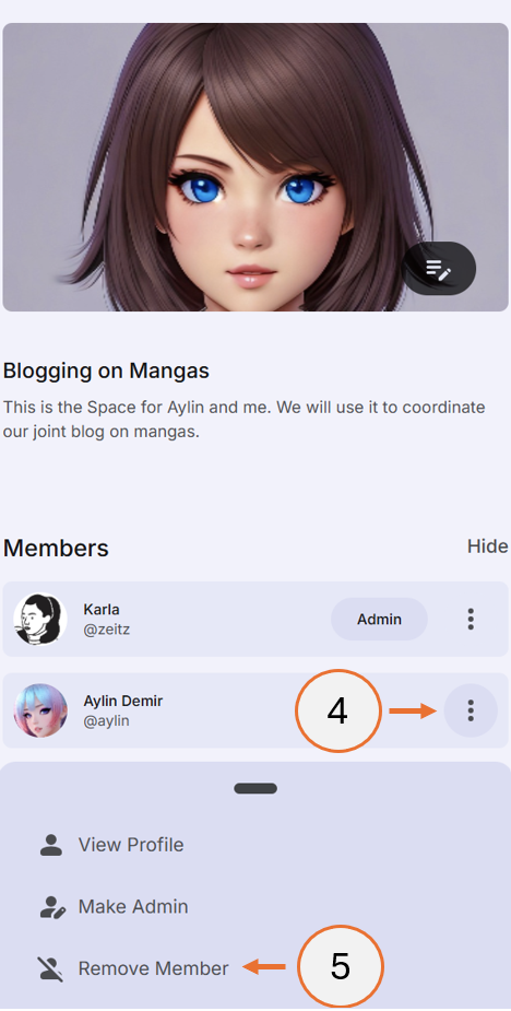screenshot showing how to remove a space member