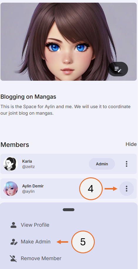 screenshot showing how to promote a member to an Admin